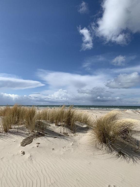Villa Seeblick Warnemuende - Fewo Mit Meerblick Und Balkon Direkt Am Strand Fuer 2-4 Pers รอสต็อค ภายนอก รูปภาพ